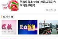 肥西县今天爆料事件视频,视频揭露惊人真相！