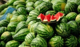 东北名媛吃瓜网红叫什么,瓜田里的“吃瓜达人”揭秘