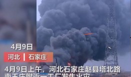 怀宁媒体爆料事件视频最新,真相揭开，震惊公众！