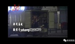 呼兰大侠天涯爆料视频