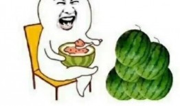 娱乐吃瓜风格,明星们的“瓜田”奇遇记！