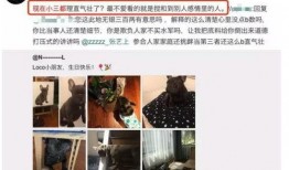 被前任爆料视频报警,真相与隐私的冲突