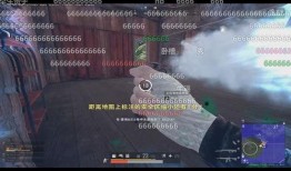 韦神最后一局爆料视频,揭秘游戏幕后真相