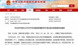 西医爆料癌症案例最新消息,癌症案例揭示治疗新进展与挑战