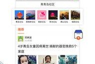 青岛新闻爆料网,聚焦岛城热点，解码民生故事