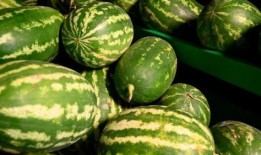 宿迁网红吃瓜事件,一场网络狂欢背后的真相揭秘