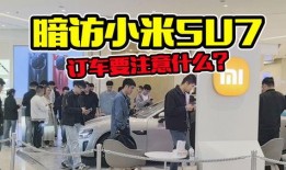 广东探店爆料视频大全,广东探店视频大全精选盘点