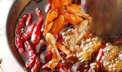 火锅牛蛙爆料视频教程,家常美味，一学就会