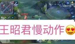 爆料小助手热门视频