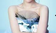 陈数明星大爆料视频大全,视频大全背后的故事与真相