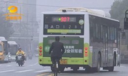 豪车车主爆料视频大全,揭秘顶级座驾背后的故事