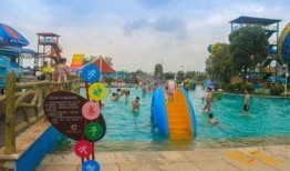 网友爆料水上公园视频,水上公园惊险刺激，游客尖叫连连