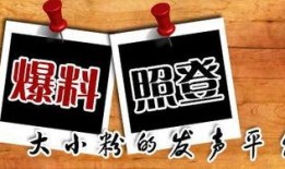 新闻爆料平台陕西,聚焦本土热点，揭示社会现象