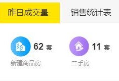 贵港网友爆料新闻最新,神秘事件背后真相揭晓！