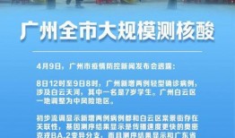 广州今日关注爆料员是谁,揭秘爆料员身份之谜！”
