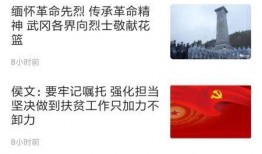 武冈新闻爆料事件始末,真相追踪与舆论漩涡
