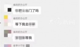 微信群爆料大全搞笑视频,搞笑视频笑翻天，欢乐时刻尽在其中