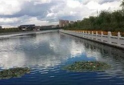 滕州小黑河跳河最新爆料,揭秘真相与救援行动”