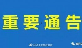 文安网友爆料新闻视频,最新新闻视频引发热议