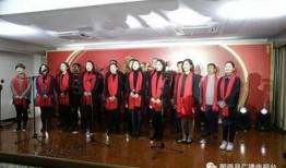 肥西电视台在线观看